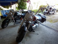 /album/fotogaleria-inicio/fiesta-iguanas-20-5-2011-007-jpg/